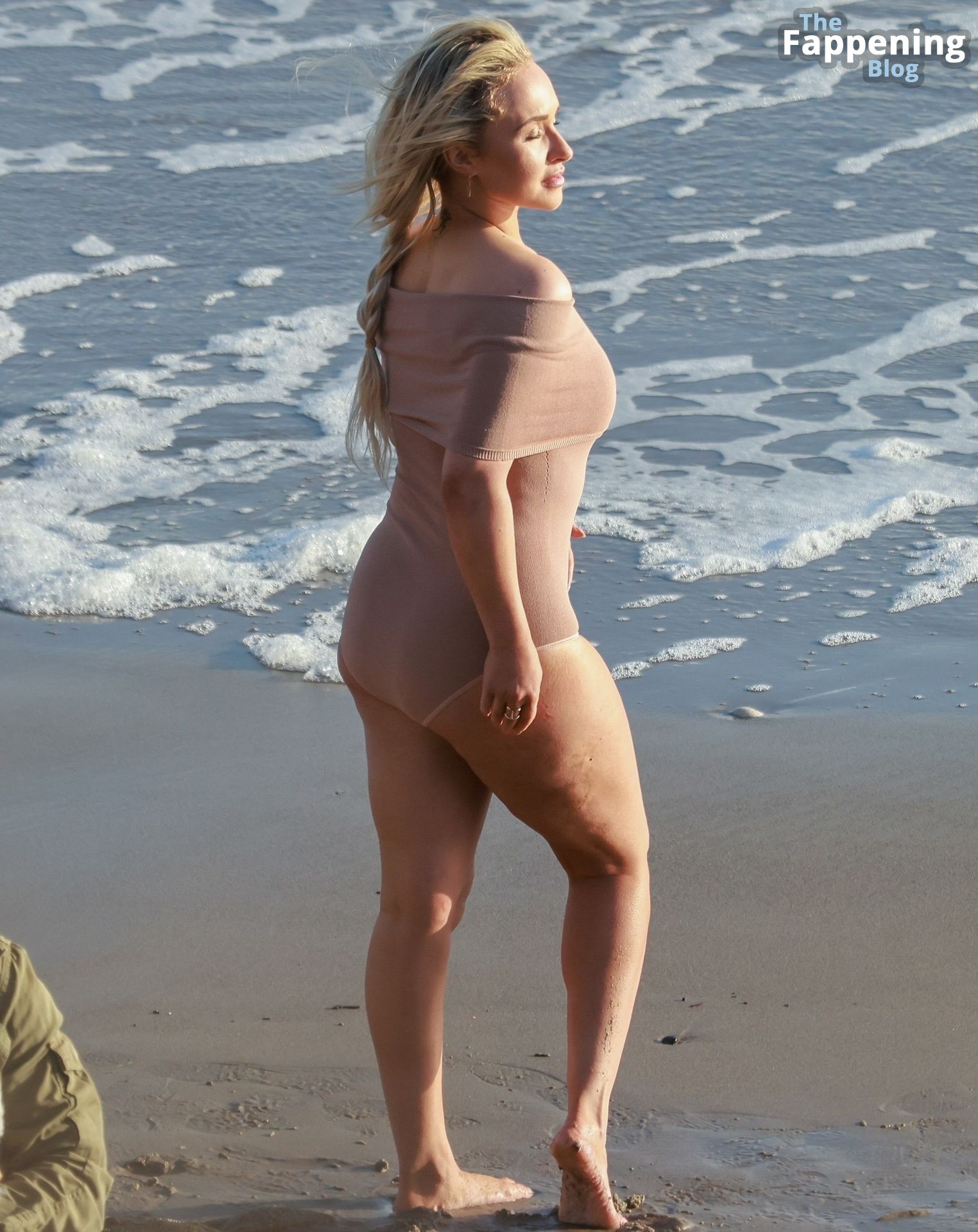 Hayden panettiere toppless